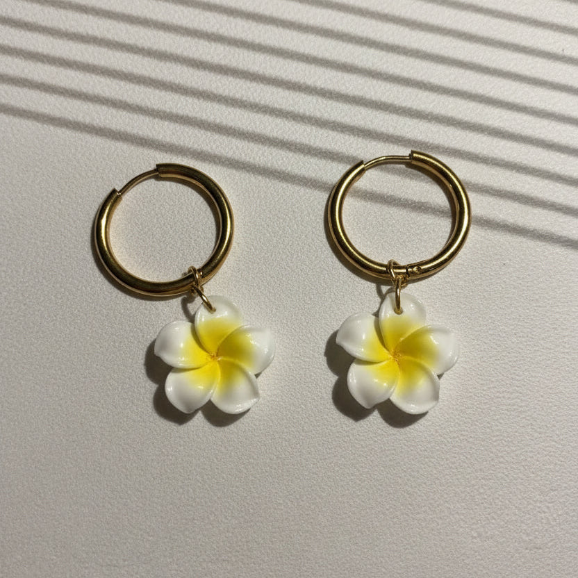 Aloha Hoops