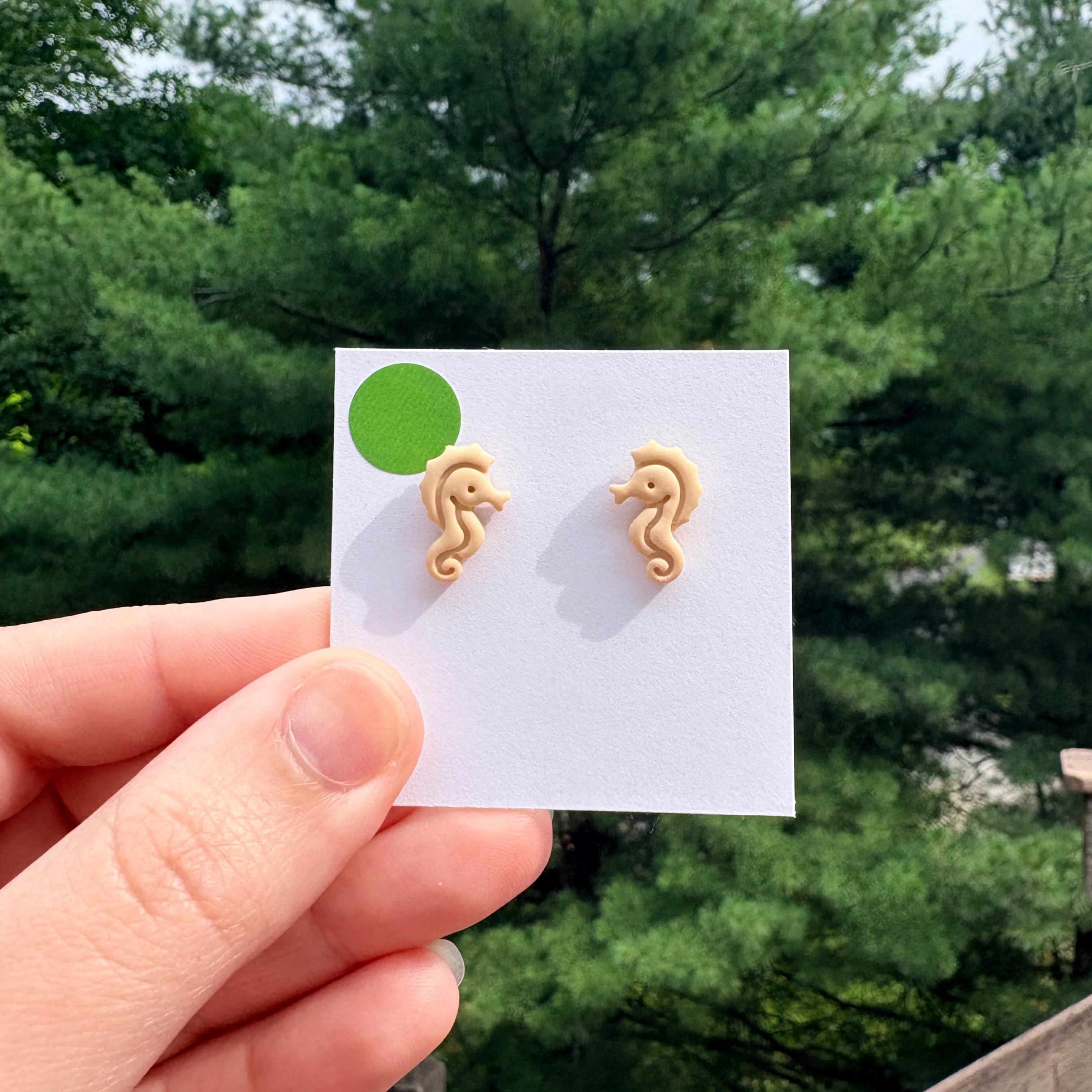 Seahorse Stud