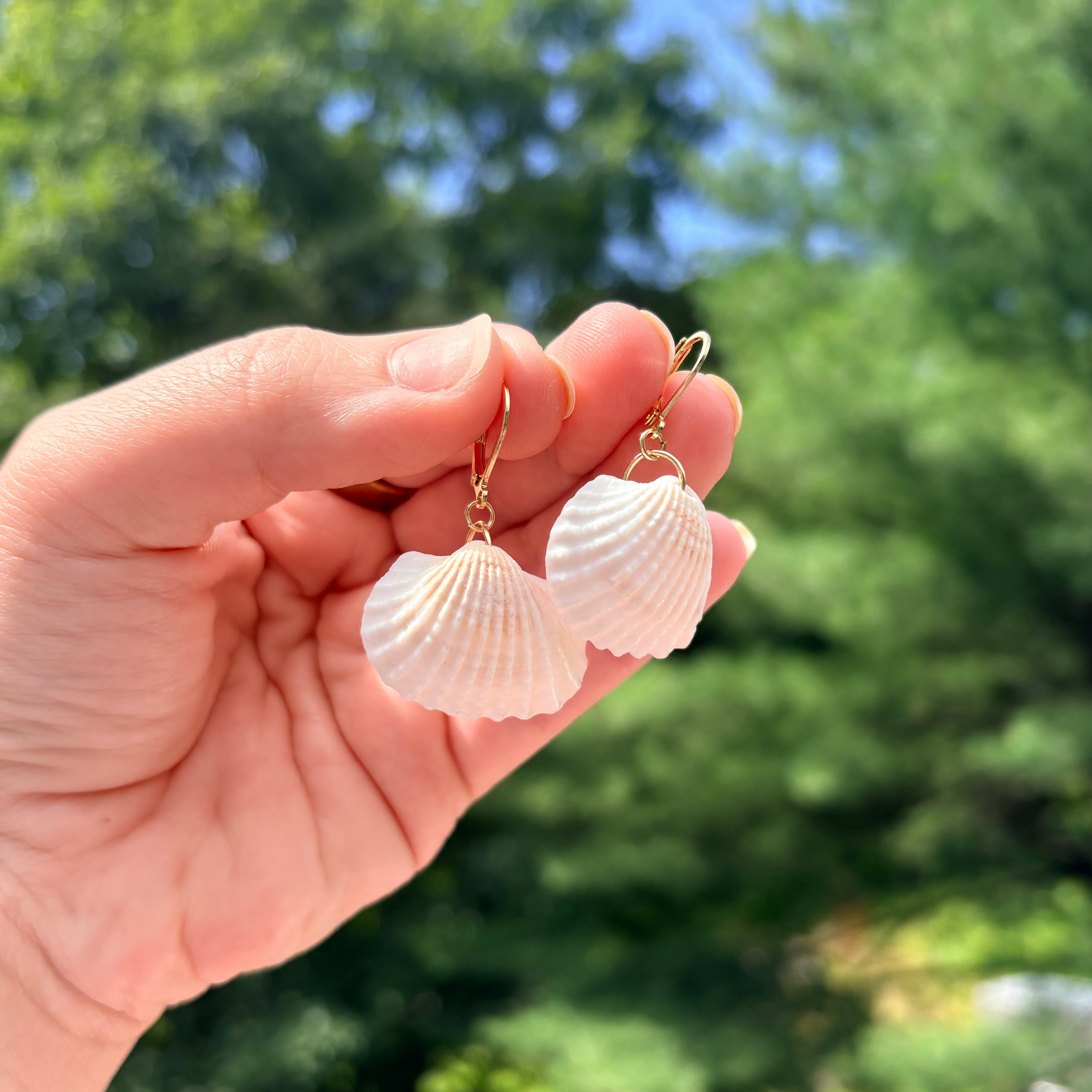 Seashell Drop Earring
