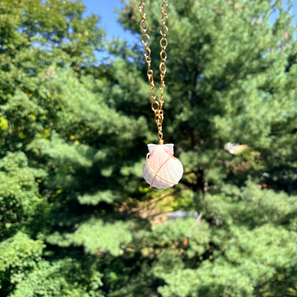 Shell Chain Necklace