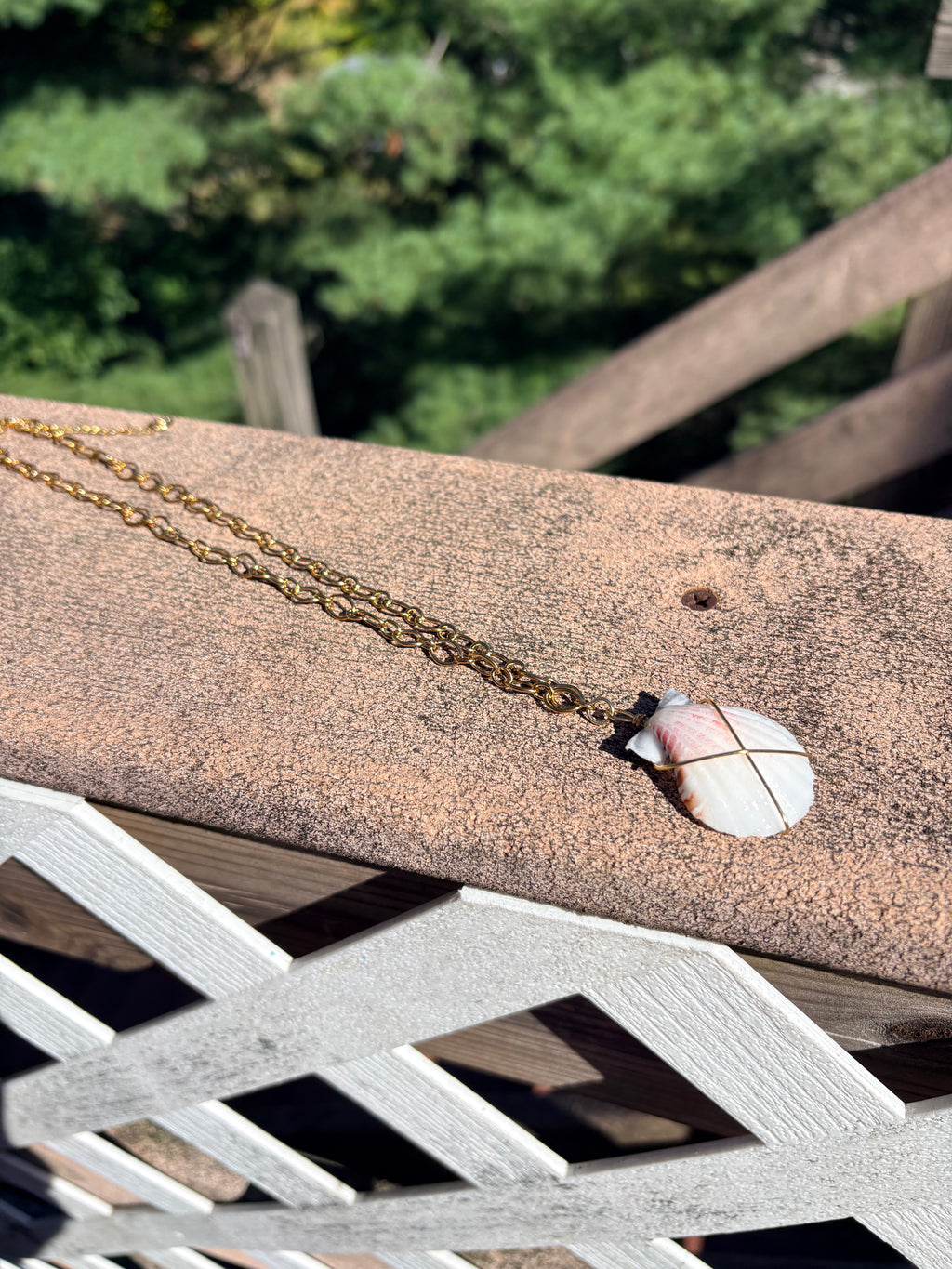 Shell Chain Necklace