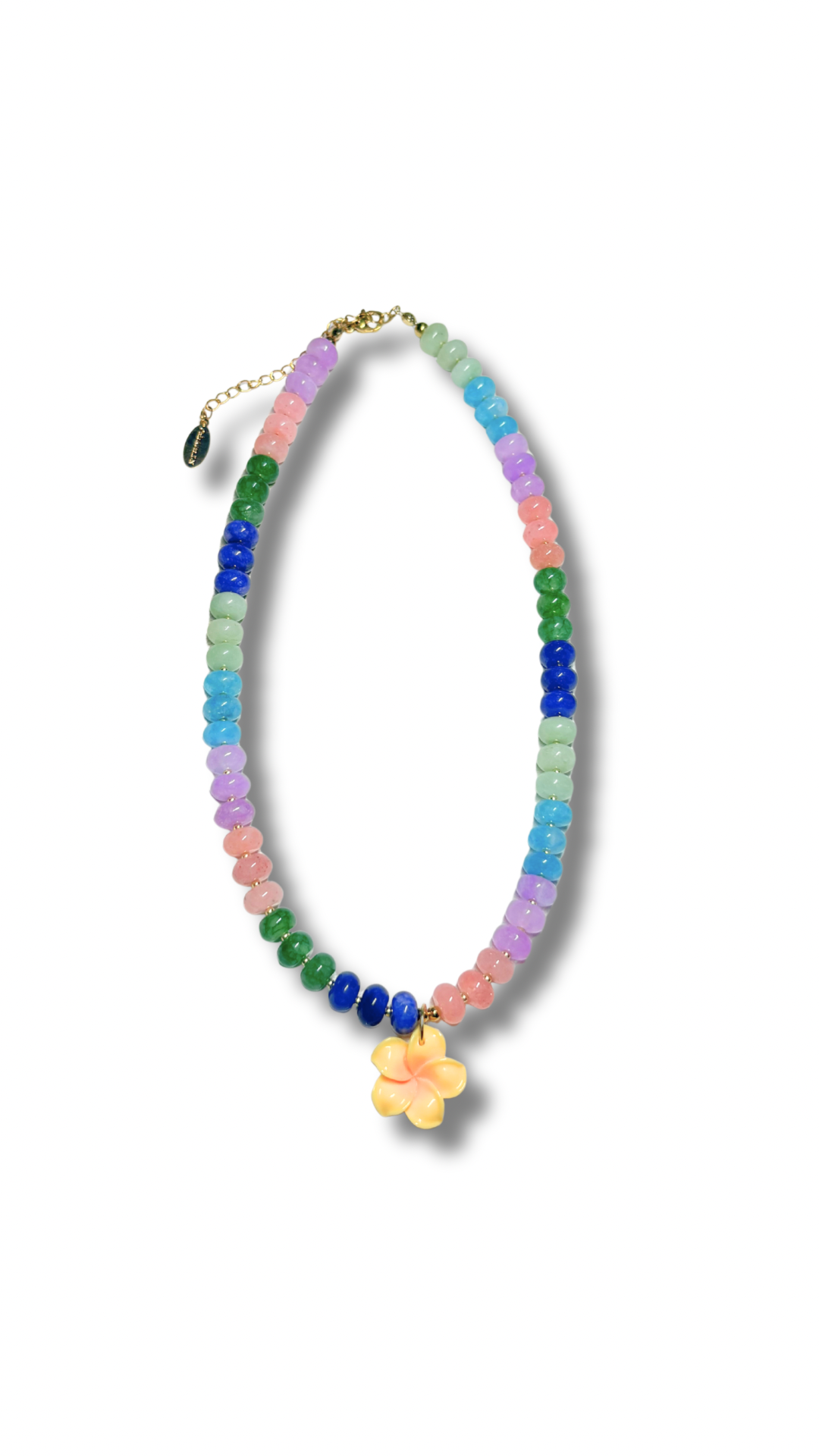 Rainbow Lei Necklace