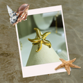 Sea Star Ring